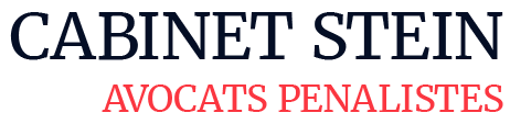 logo dark stein avocat penaliste paris.png